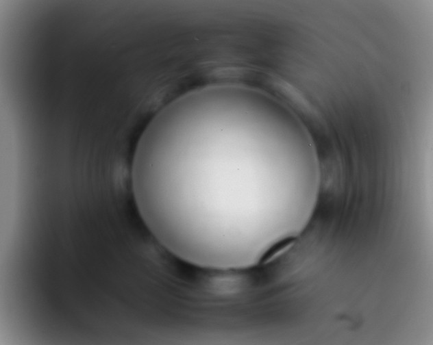 X0000092100669200709262142