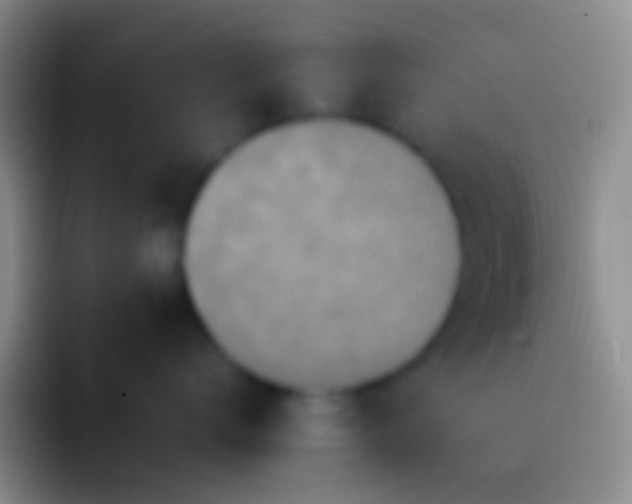 X0000092100672200709262142