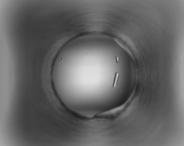 X0000092100673200709262142