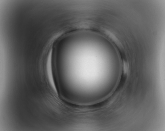 X0000092100675200709262141