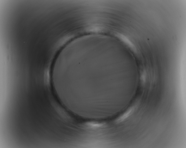 X0000092100678200709262141