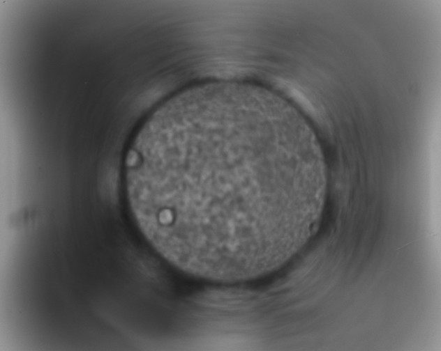 X0000092100679200709262141