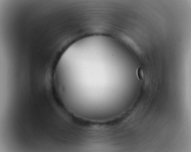 X0000092100680200709262141