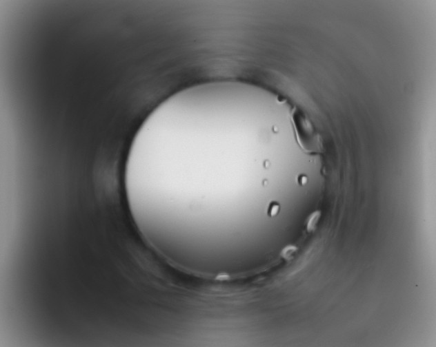 X0000092100681200709262141