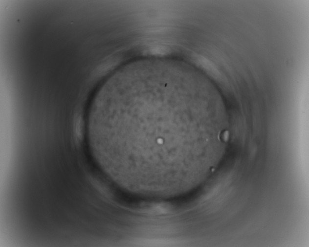 X0000092100683200709262141