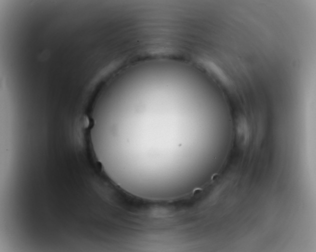 X0000092100684200709262141