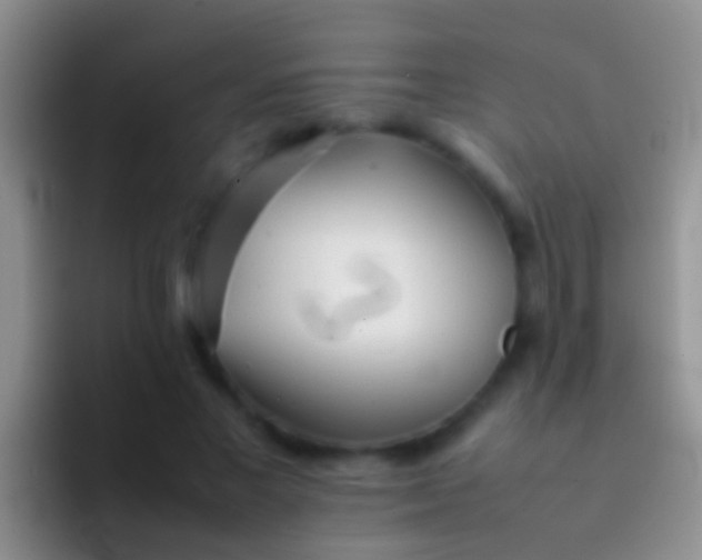 X0000092100685200709262141