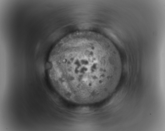 X0000092100687200709262141