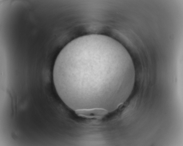 X0000092100689200709262141