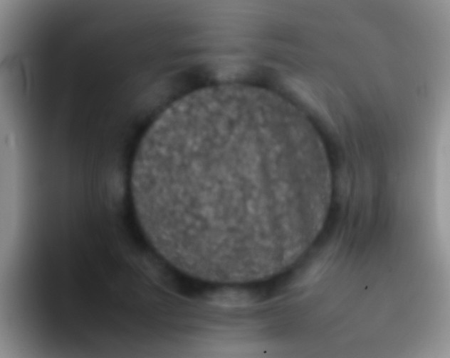 X0000092100691200709262141