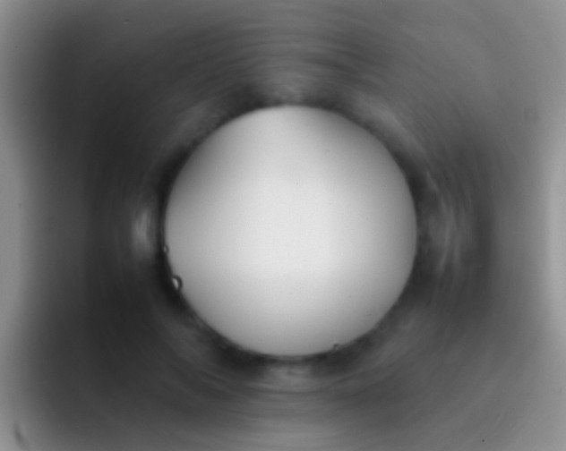 X0000092100694200709262141