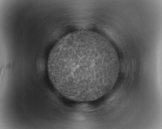 X0000092100695200709262141