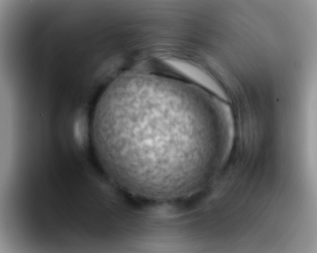 X0000092100696200709262141