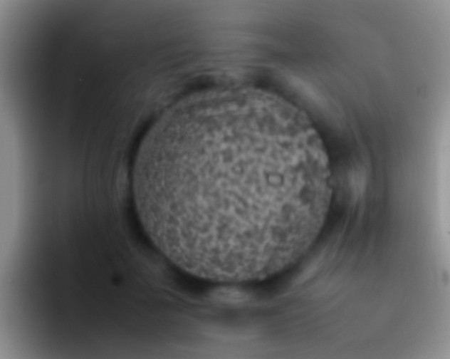 X0000092100699200709262141