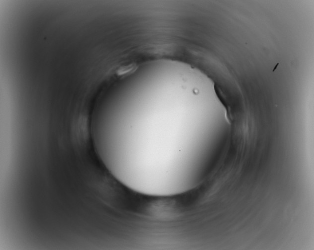 X0000092100700200709262141