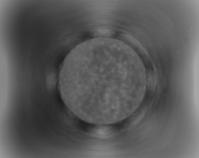 X0000092100701200709262141