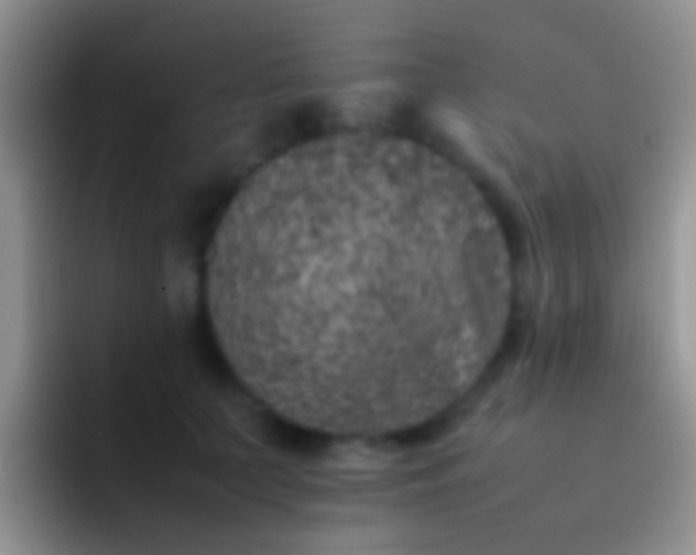 X0000092100703200709262141