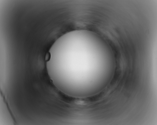 X0000092100706200709262141