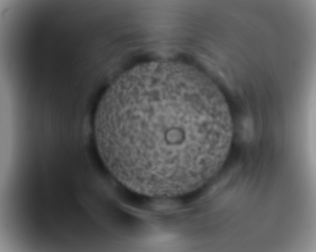 X0000092100707200709262141