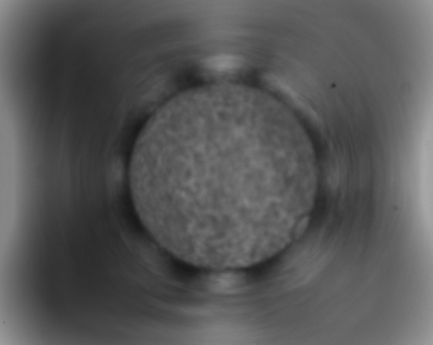 X0000092100711200709262141