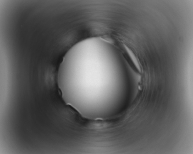 X0000092100712200709262141