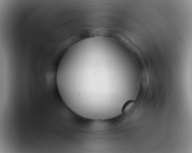 X0000092100714200709262141