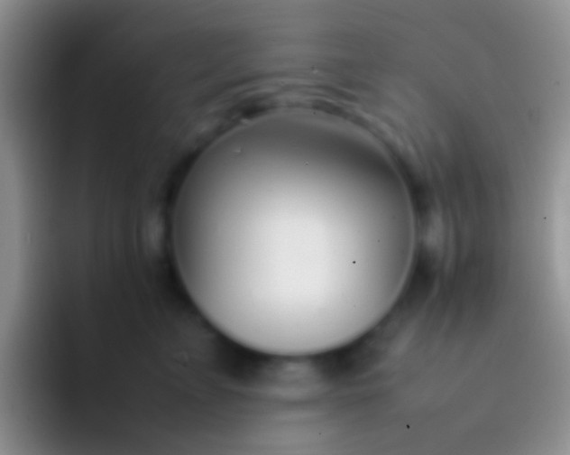 X0000092100715200709262141