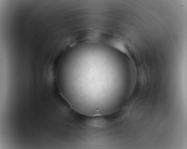 X0000092100716200709262141