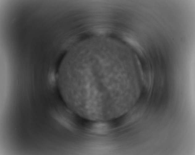 X0000092100718200709262141