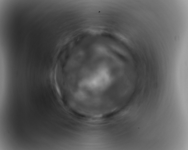 X0000092100720200709262141