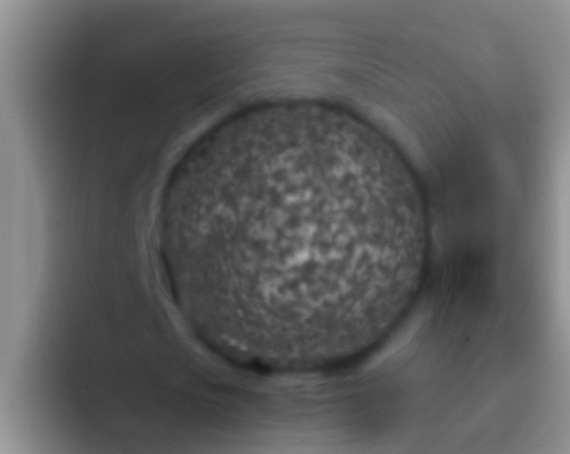 X0000092100721200709262140