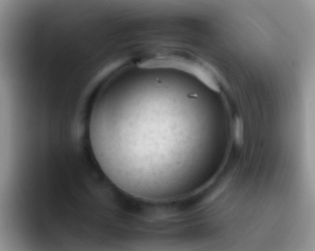 X0000092100723200709262140