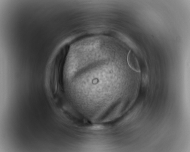 X0000092100724200709262140