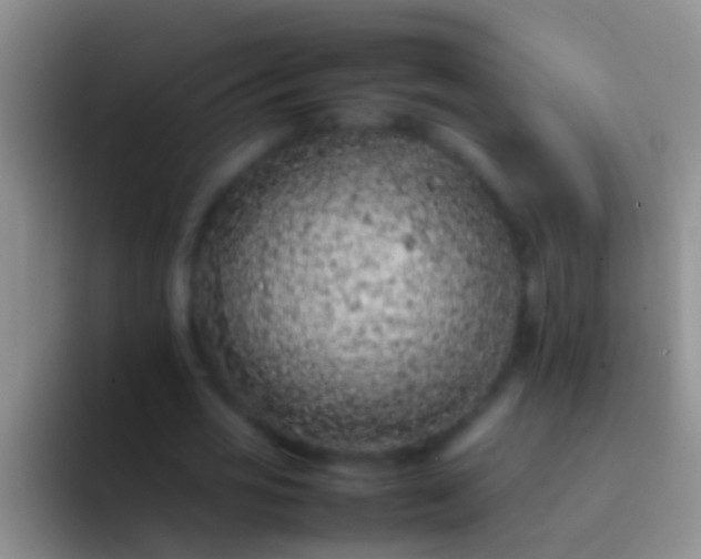 X0000092100725200709262140