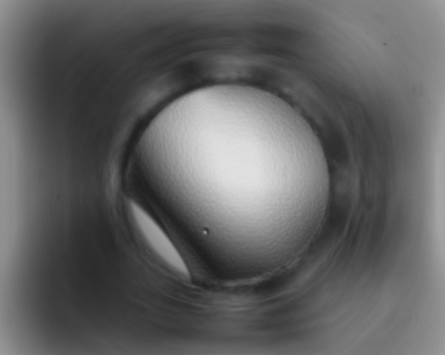 X0000092100727200709262140