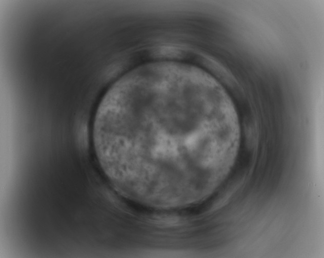 X0000092100729200709262141