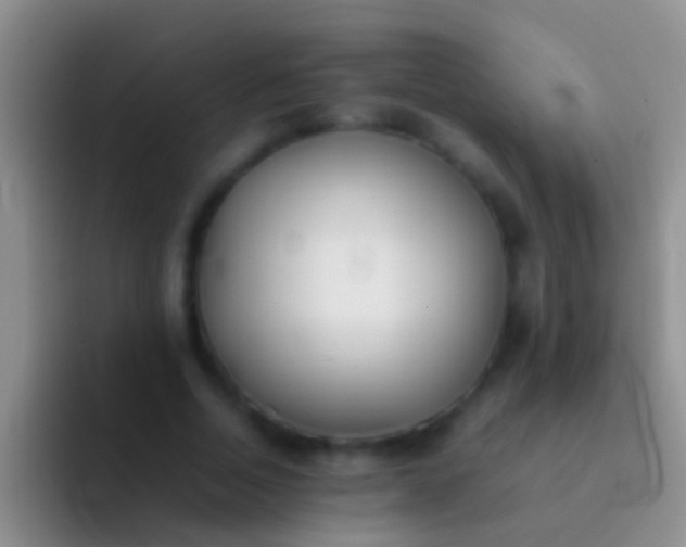 X0000092100730200709262141