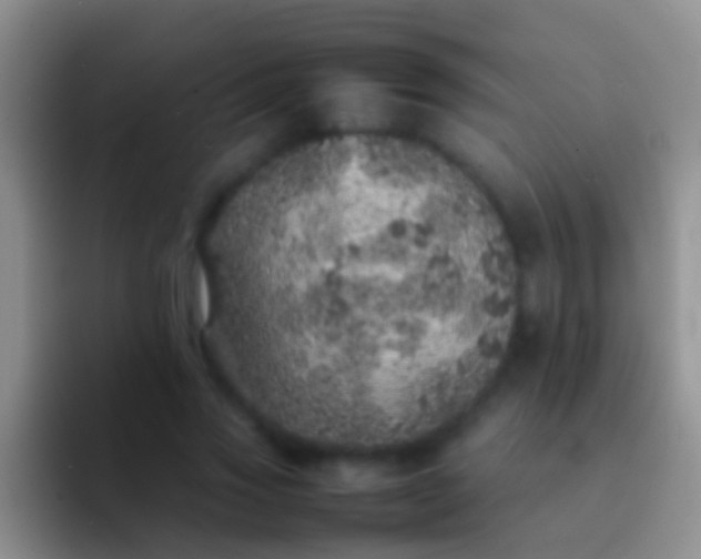 X0000092100733200709262141