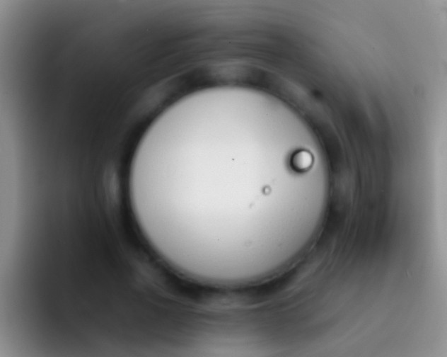 X0000092100734200709262141