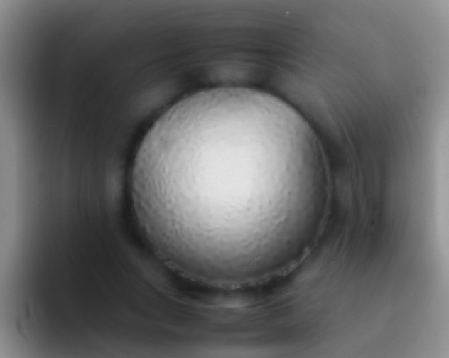 X0000092100735200709262141