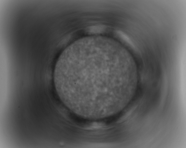 X0000092100737200709262141