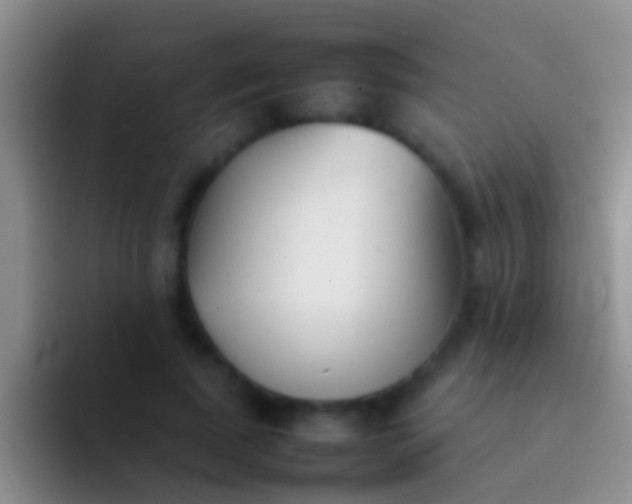 X0000092100739200709262141