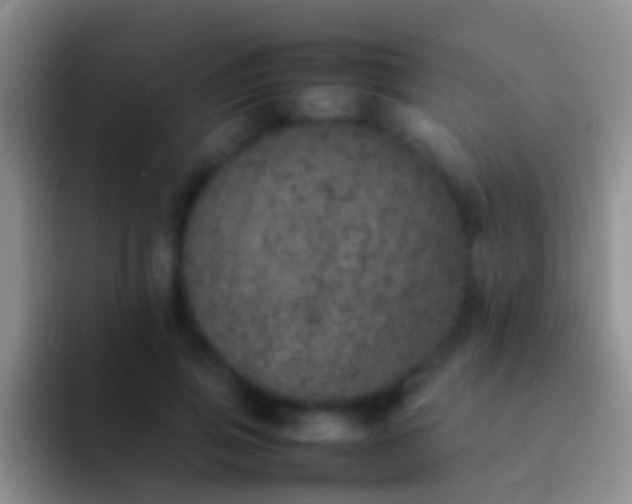 X0000092100741200709262141