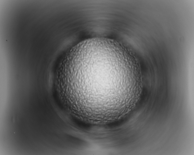 X0000092100742200709262141