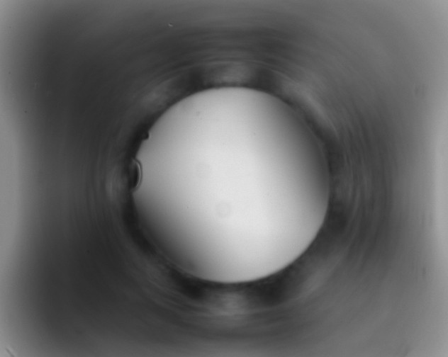 X0000092100743200709262141