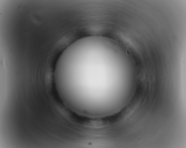 X0000092100744200709262141