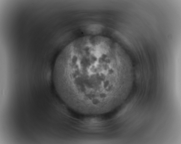 X0000092100745200709262141