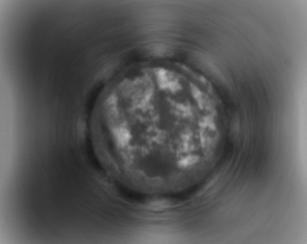 X0000092100746200709262141