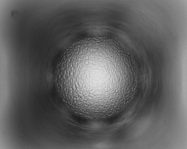 X0000092100749200709262141