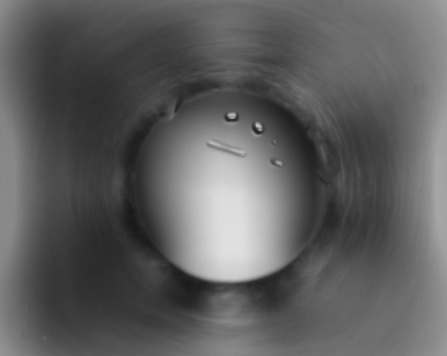 X0000092100750200709262141